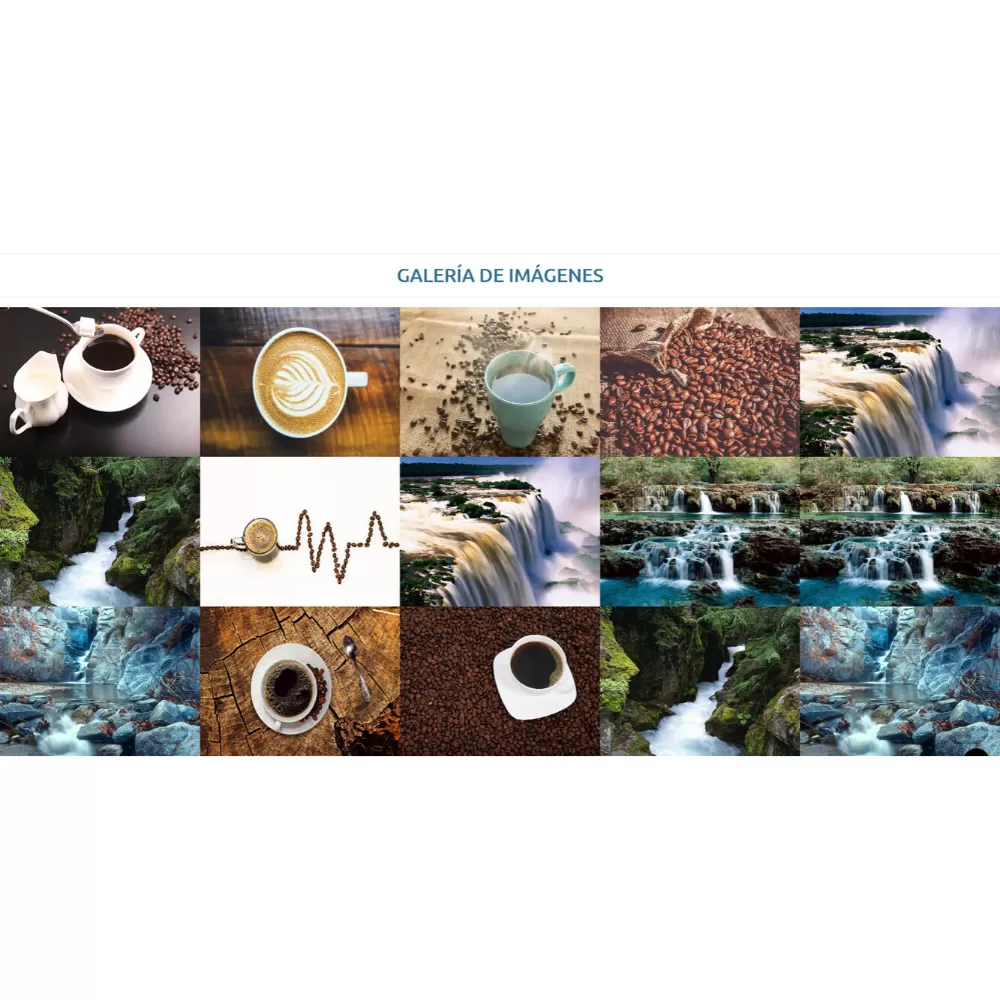 Plantilla CMS para sitio web